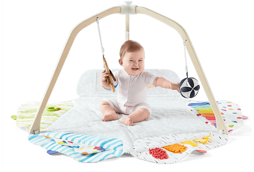 Lovevery Play Gym