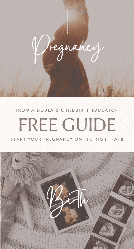 Pregnancy Planning Mini Guide cover